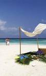 Holidays to the Coco Palm Bodu Hithi Maldives