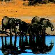 Botswana safari holidays - Longhaul holidays from Escape Worldwide