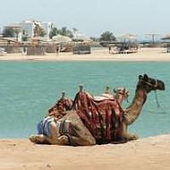 Makadi Bay holidays - Longhaul holidays from Escape Worldwide