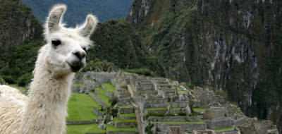 Escorted tour of South America, Peru: Mystery of the Incas escorted tour