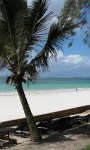 Holidays to the Diani Sea Resort, Mombasa Kenya