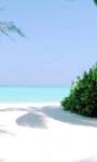 Holidays to Zanzibar, holidays to the Pongwe Beach Hotel Zanzibar